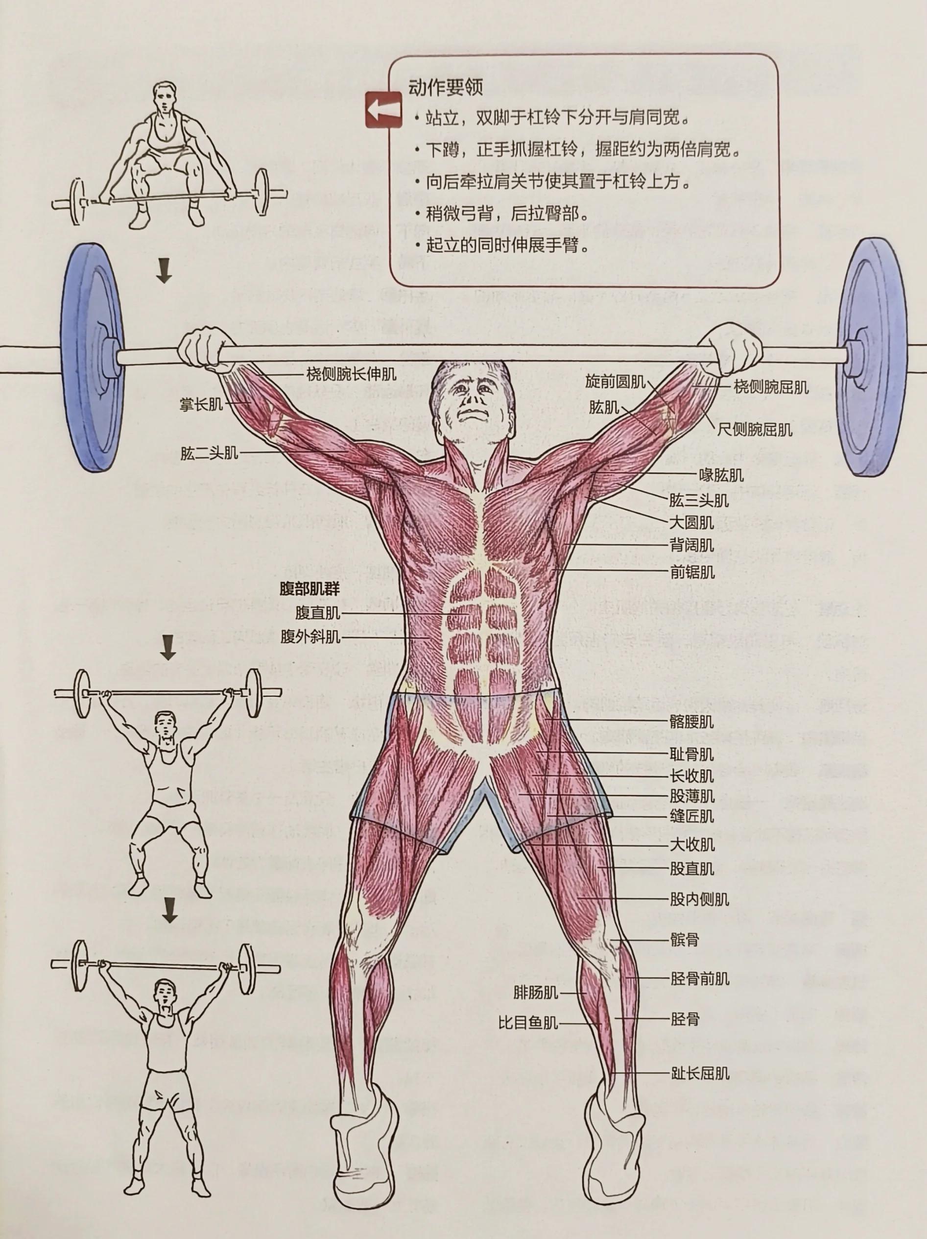 包含【专业训练】提升罚分克服犯规的实用技巧的词条